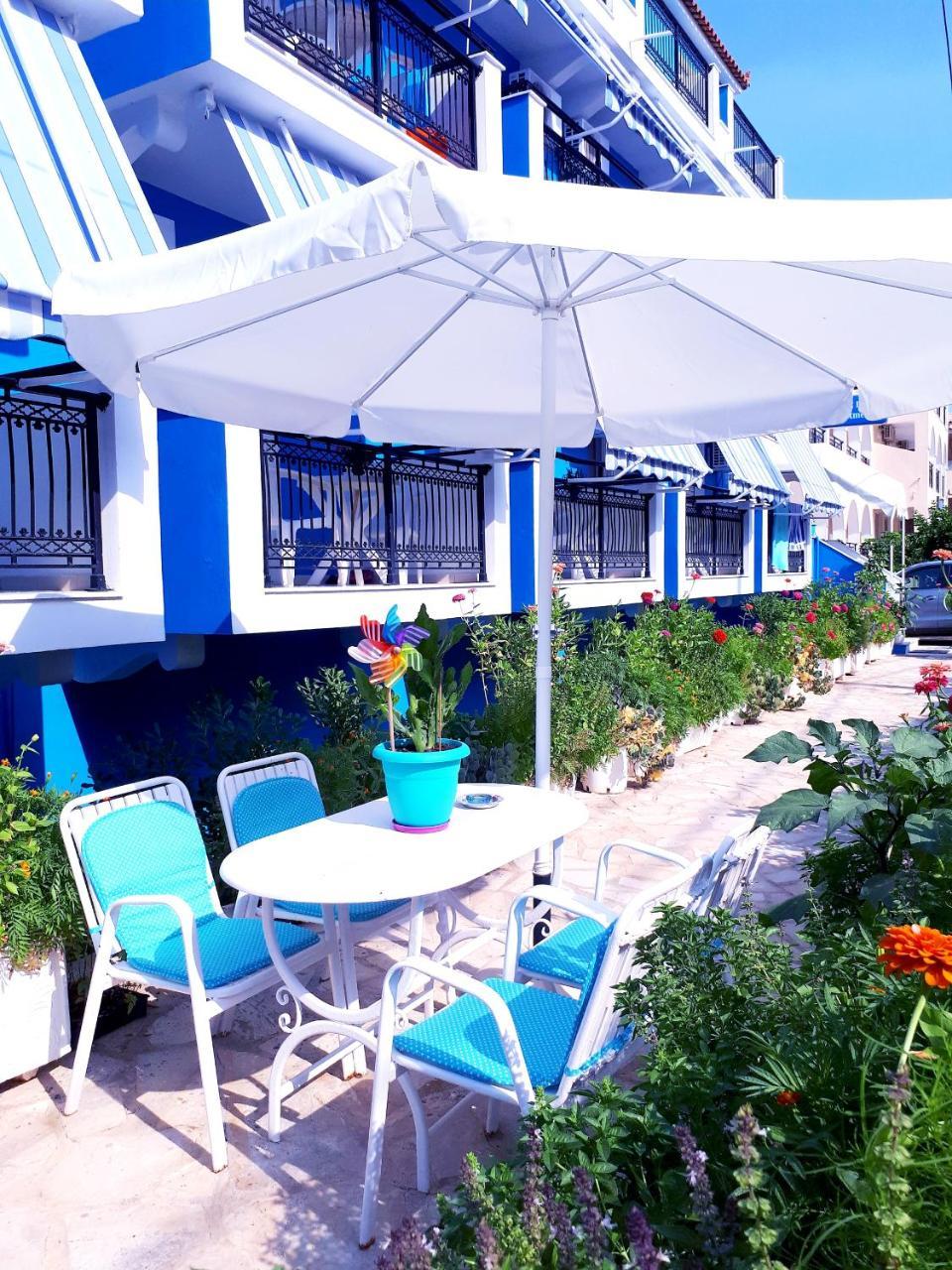 Zante Dahlia 3*